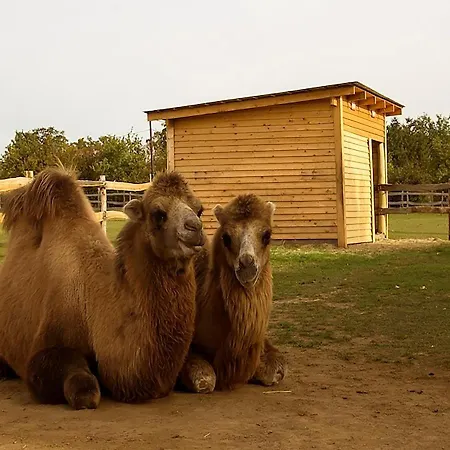 Bed & Breakfast Napsugar Apartmanhaz 3*